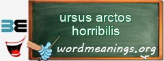 WordMeaning blackboard for ursus arctos horribilis